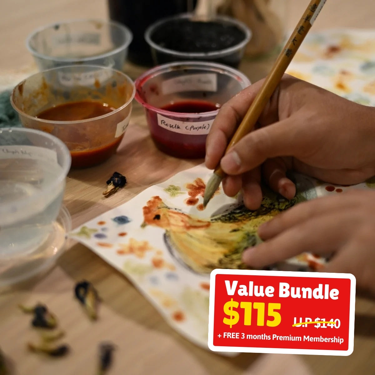 UPlay Premium Exclusive: Colours of Nature: Homemade Paint from Local Plants for 2 Adults and 2 Children