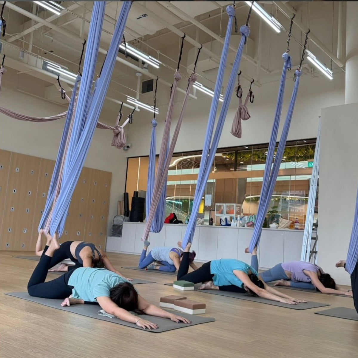 1-Hour Yoga Trial Class