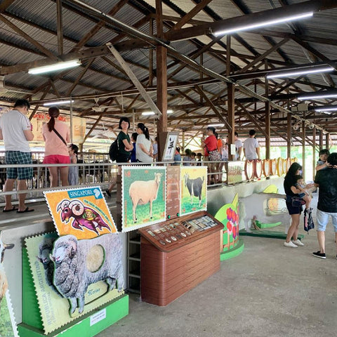 Hay Dairies Goat Farm Admission Ticket Family Bundle