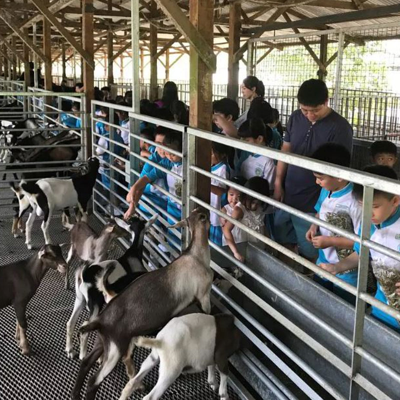 Hay Dairies Goat Farm Admission Ticket Family Bundle
