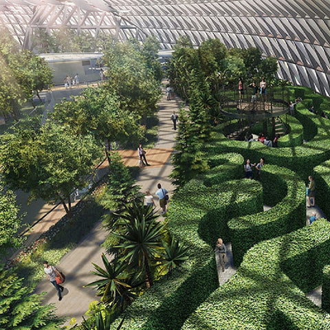 Changi Jewel Canopy Park Entry Ticket